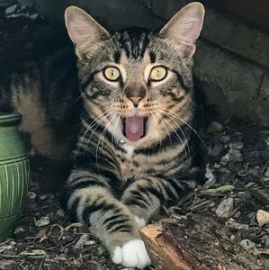 Meet your Posher, Patrick